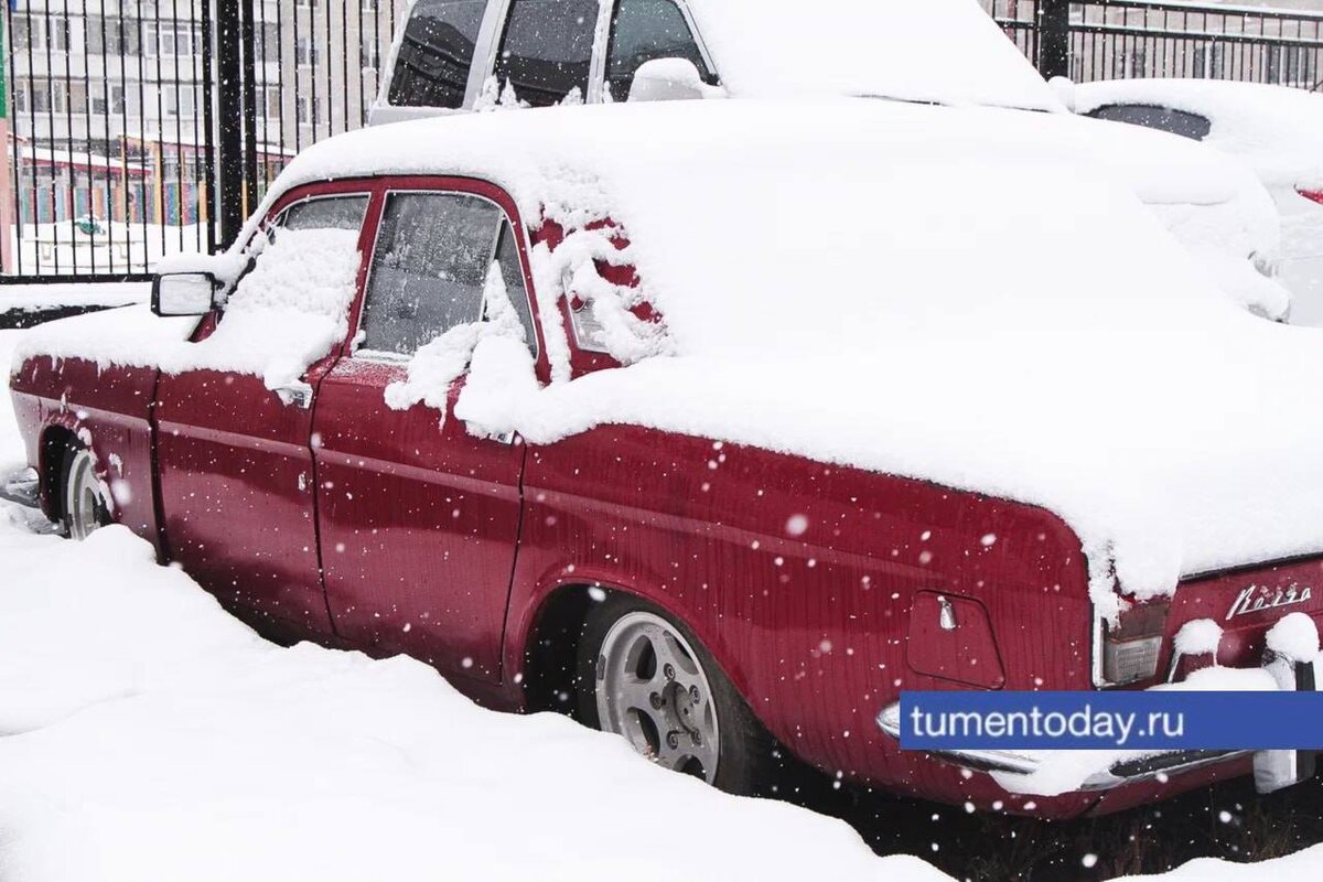 Фото Дениса Моргунова