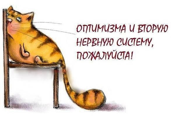 Фото из открытых источников Интернет.