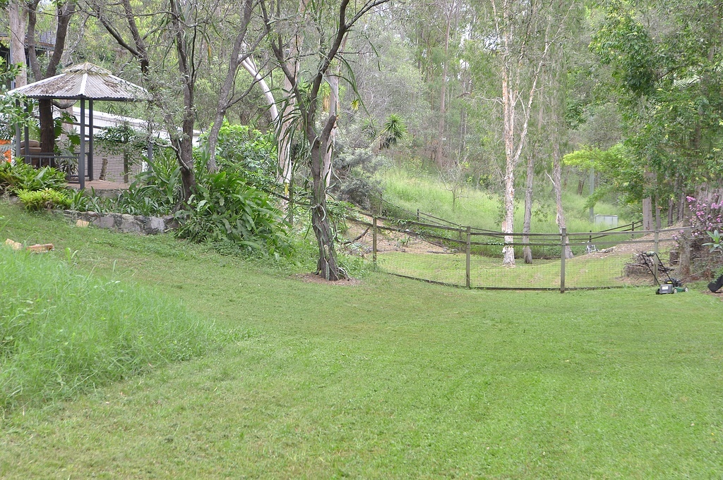 Нижняя лужайка, Брисбен, Австралия; здесь и далее - фото из домашнего архива