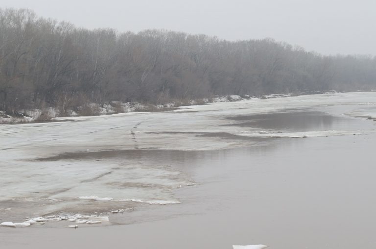    Сакмара в Оренбурге за сутки поднялась на 74 сантиметра Оренбуржье