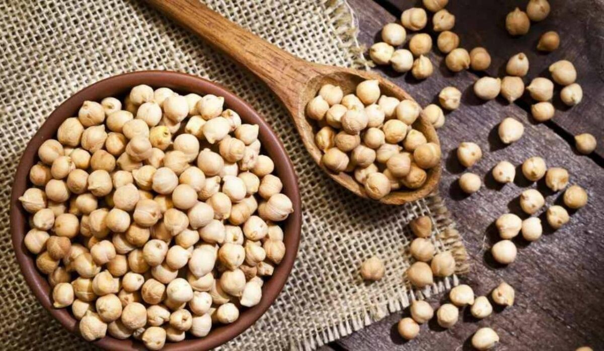     Нут. Источник: ria.ru Автор фото: fcafotodigital