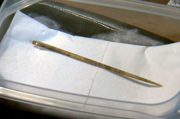 Найденная костяная игла на Алтае