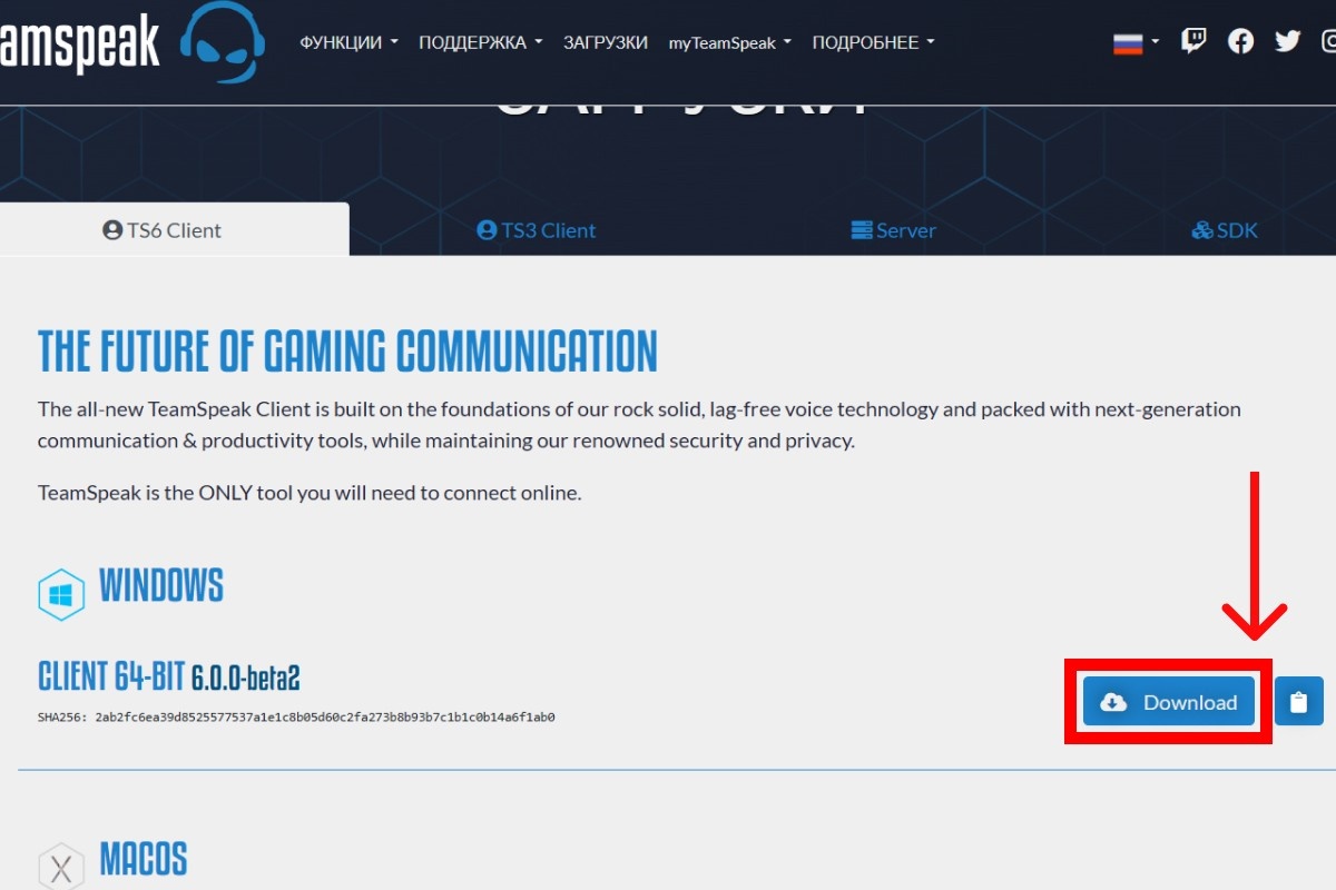Установочные файлы для Windows, MacOS и Linux. Источник: teamspeak.com📷
