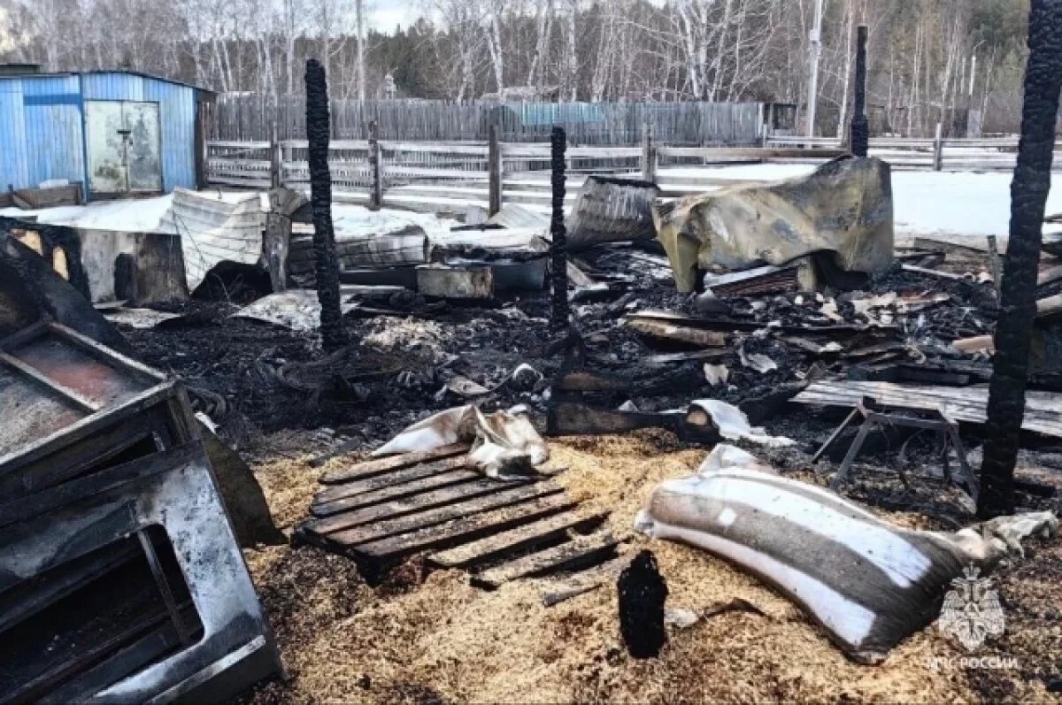    Пожар случился в зоопитомнике «Амодово» — погиб страус