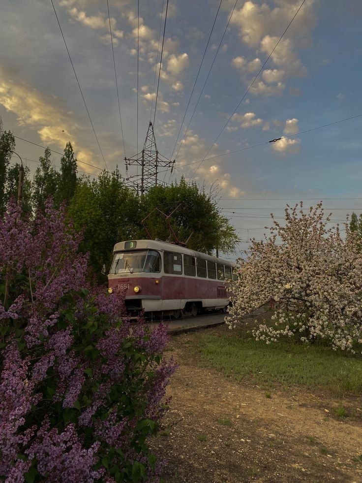 ©Pinterest, для заставки💜