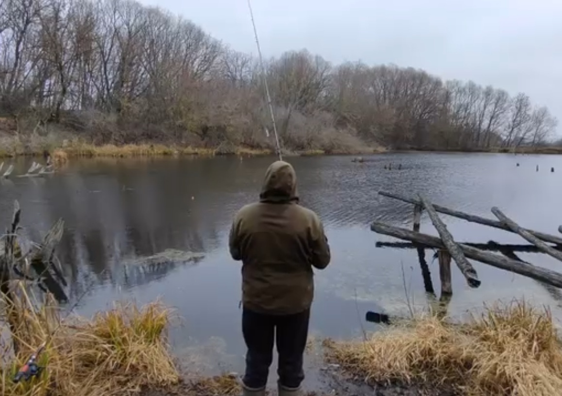 На вылазке забыл про телефон, поэтому приложу архивное фото. 