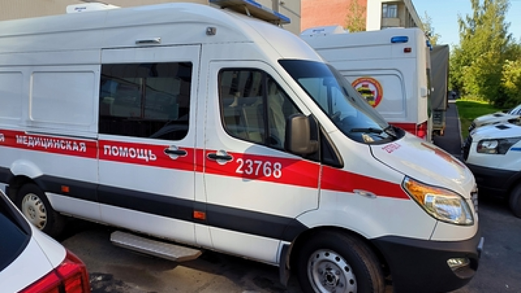    Фото: Максим Константинов/Globallookpress.