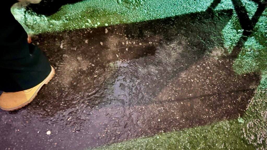    Фото: пресс-служба прокуратуры Петербурга