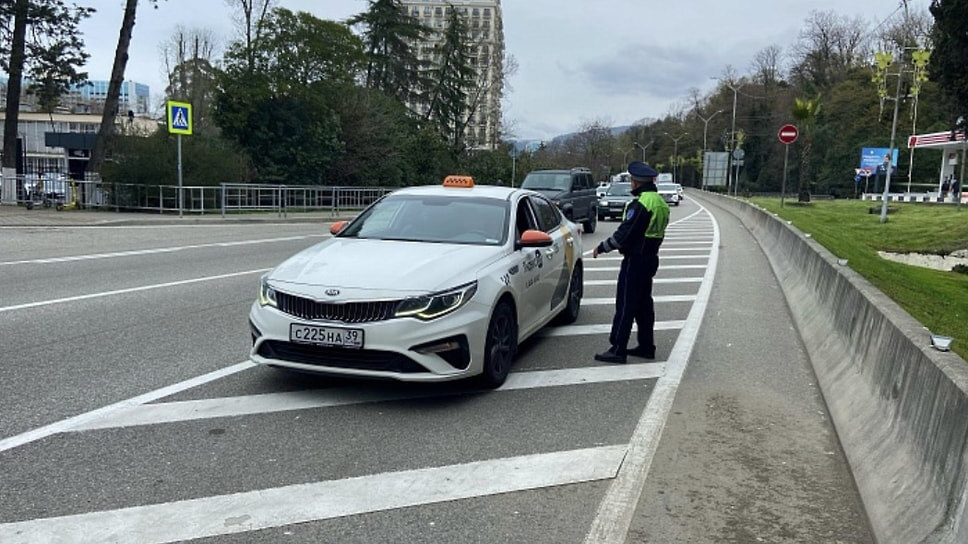Фото: пресс-служба администрации Сочи