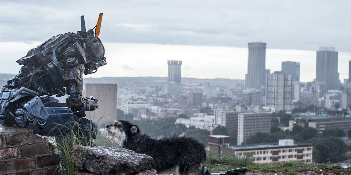 кадр из фильма