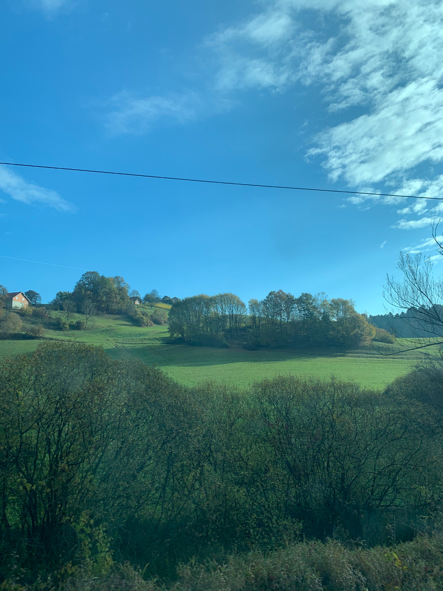 Виды из поезда