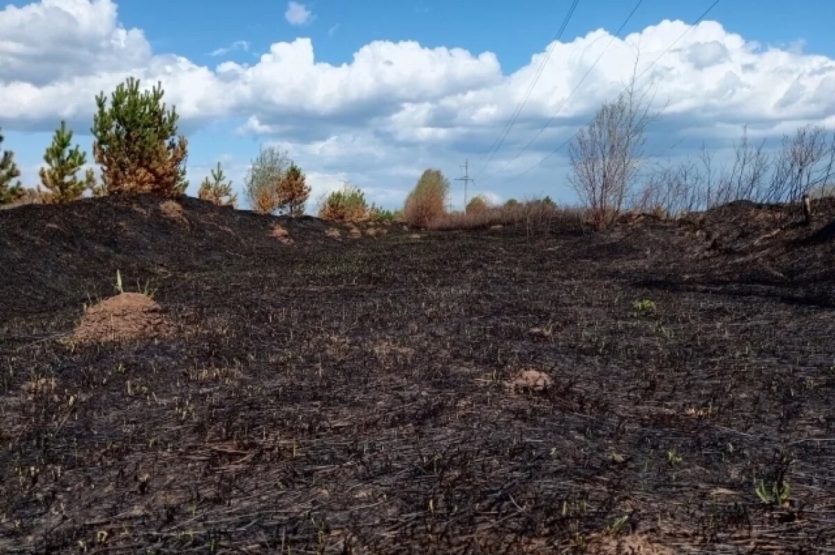    Губернатор Куйвашев установил дату начала пожароопасного сезона на Урале