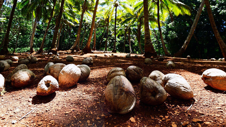 Фото: © Global Look Press/Norbert Eisele-Hein/imageBROKER.com