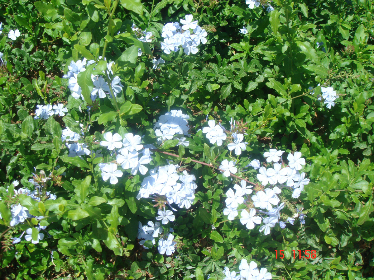 Маленький оазис на территории отеля в Хургаде