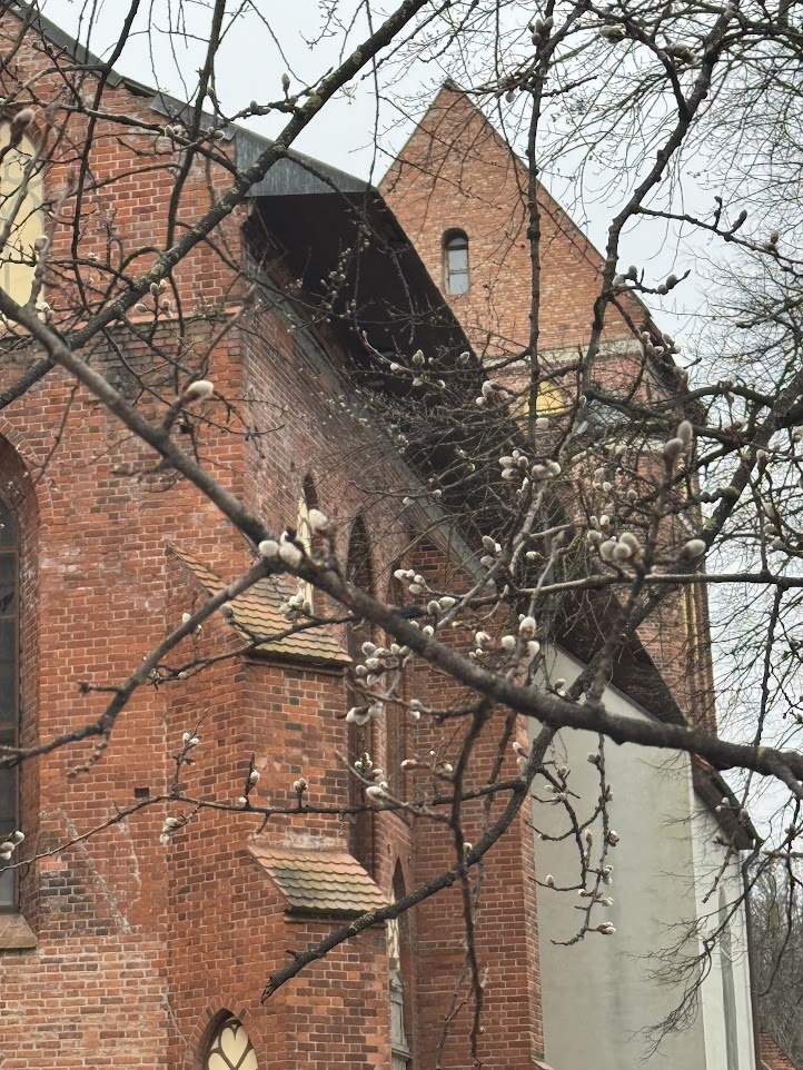 Эстетичные фото Калининграда