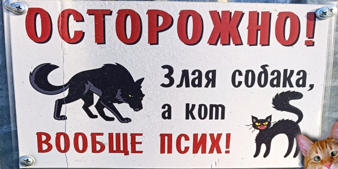 "Осторожно! Злая собака, а кот вообще псих", - гласил плакат. Бывает, что реально кошку стоит бояться, а пёс только зализать может