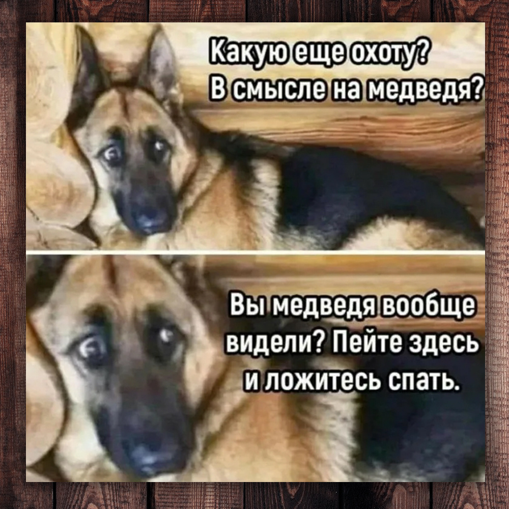 Фото с просторов интернета