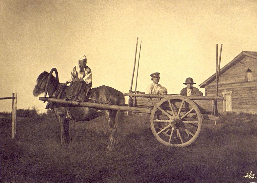 Крестьяне в двуколке. Неизвестный автор, 1860-е, Санкт-Петербургская губ., Кунсткамера.
