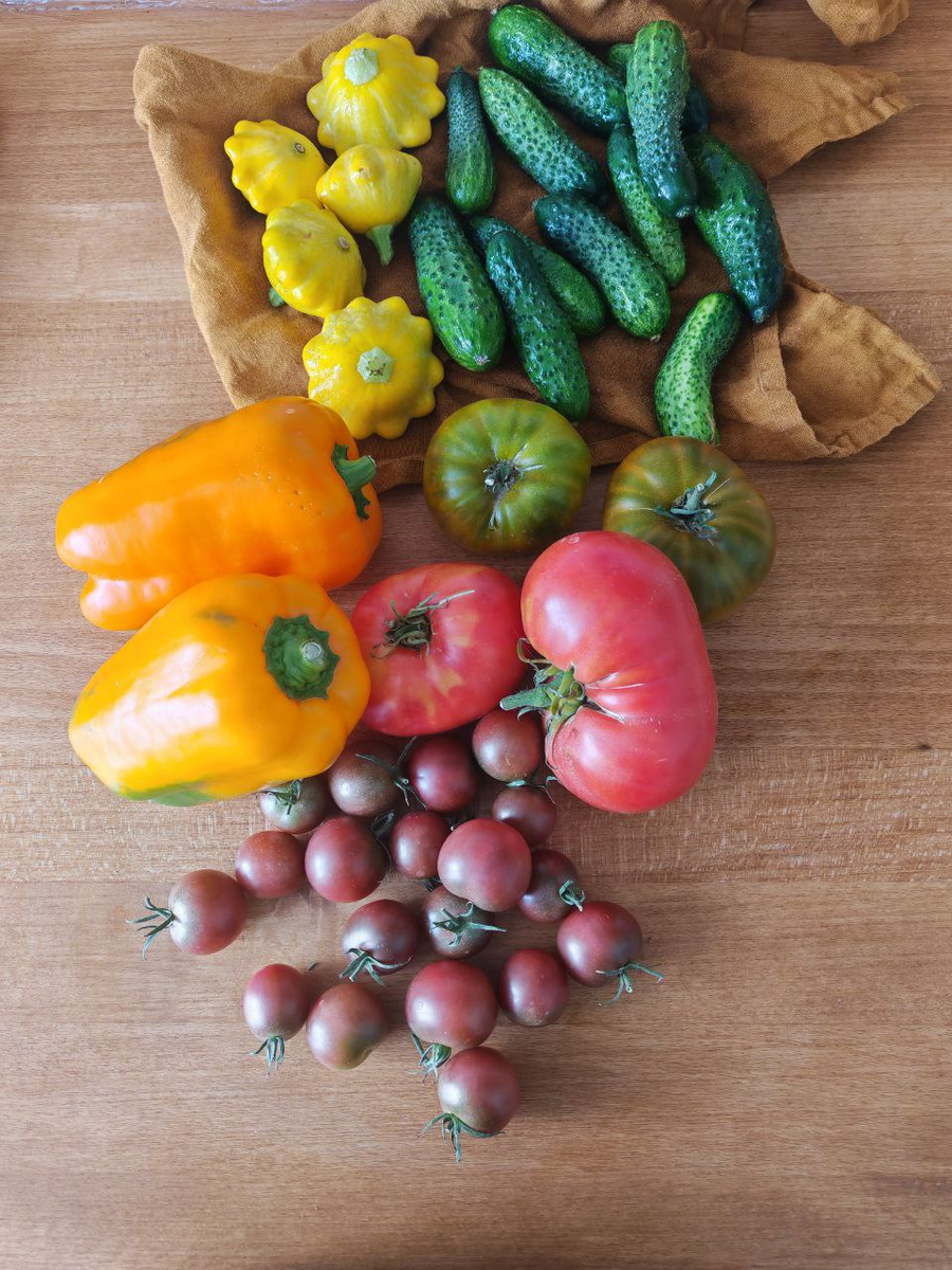 Небольшая часть самостоятельно выращенного урожая