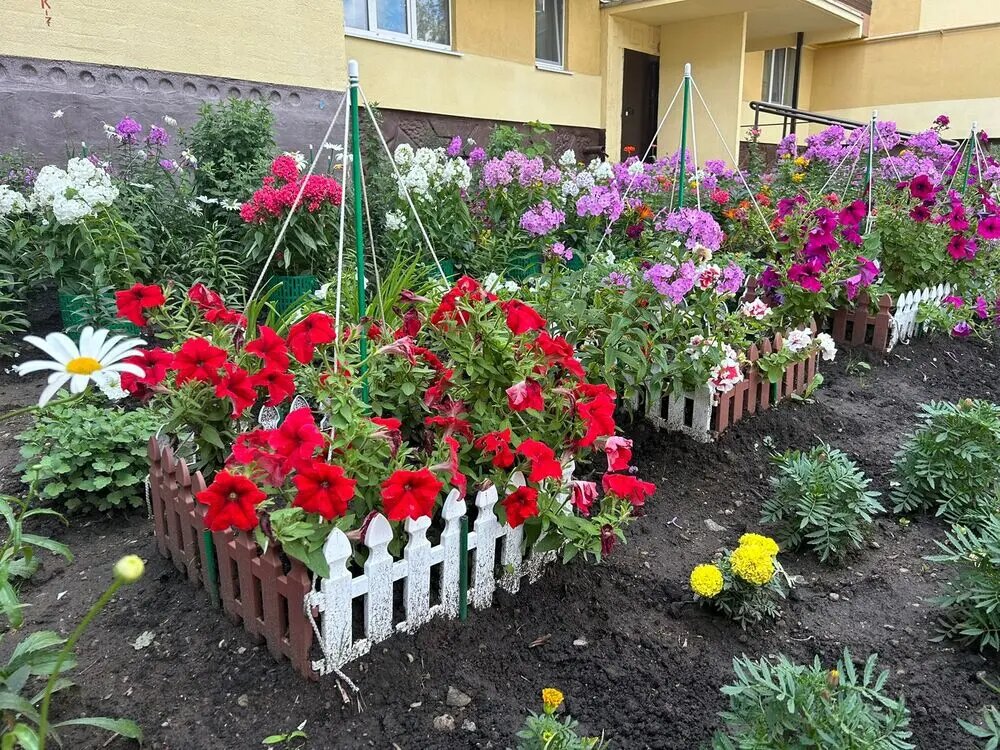    Большинство цветов предпочитает солнечные места, но есть и теневыносливые // Фото: НТР 24