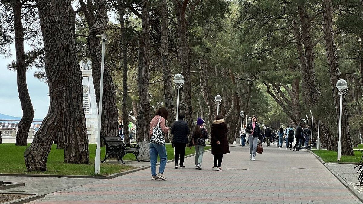    Фото: телеканал «Краснодар»