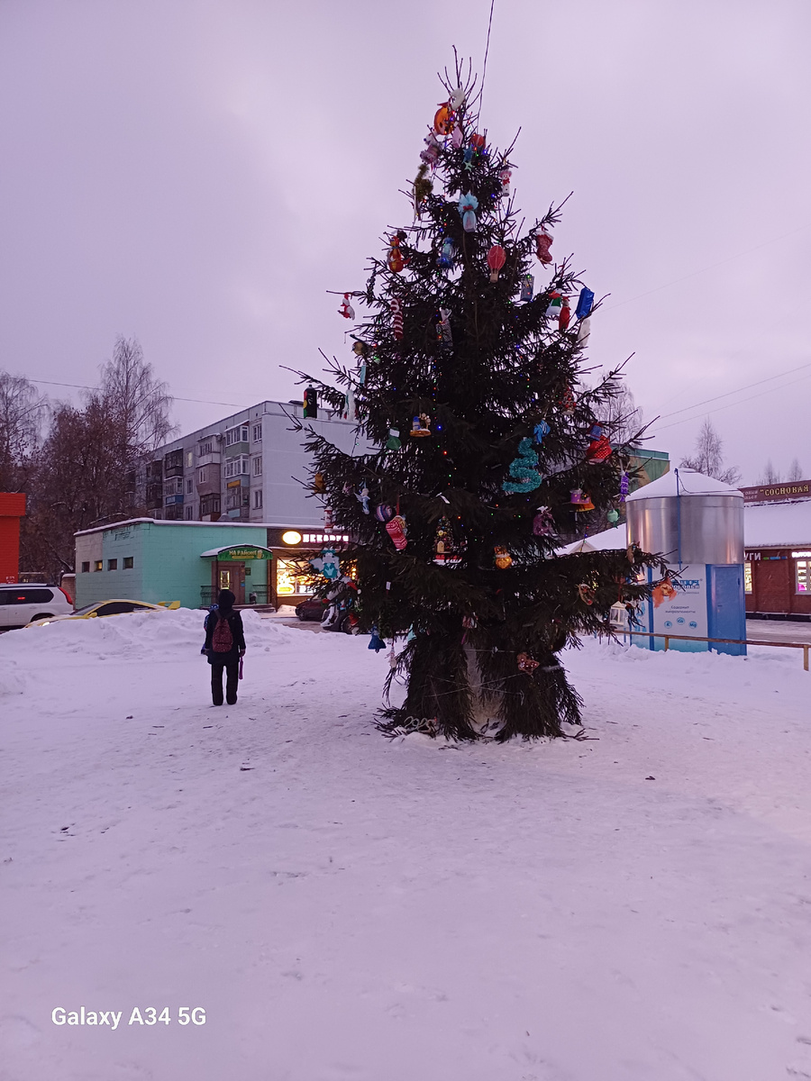 Снимок Костромы перед Новым Годом, местная торговая площадь, конец улицы Шагова. Сделан в 42-ой день рождения Полирова Антона 13 декабря 2024года. Акцент уделяется на строении пункта продажи воды, справа от Ёлки.