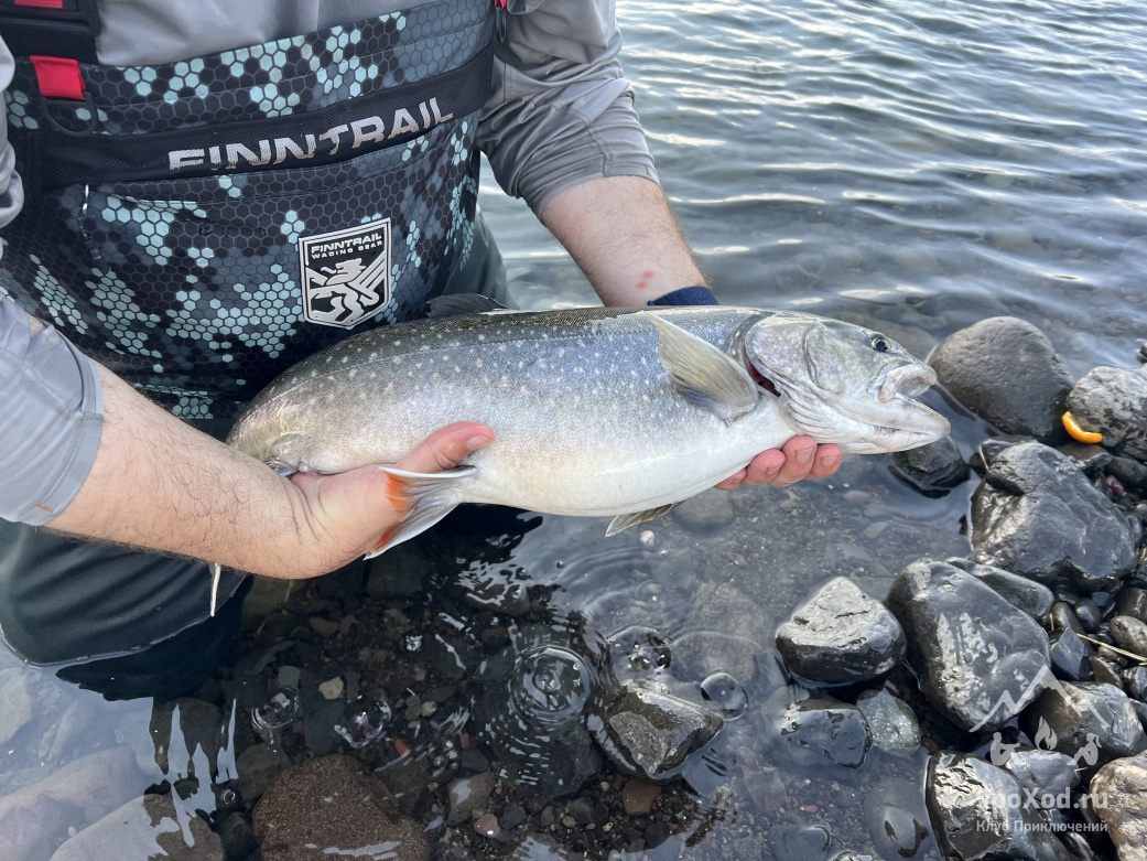 Фото: Андрей