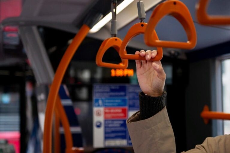    Фото: freepik.com/free-photo/ Александра Горохова