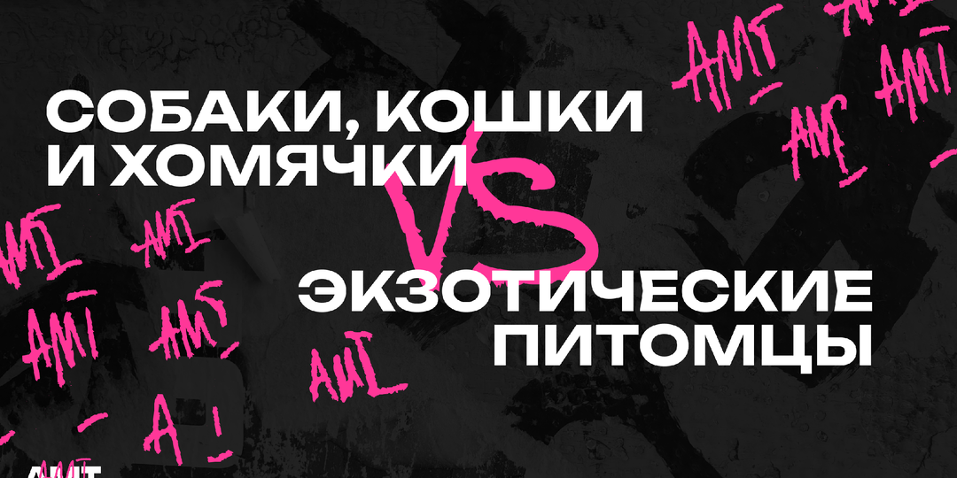 Собаки, кошки и хомячки VS экзотические питомцы: за кем легче ухаживать