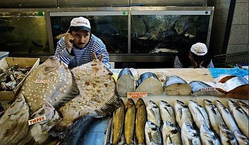 Из открытого доступа