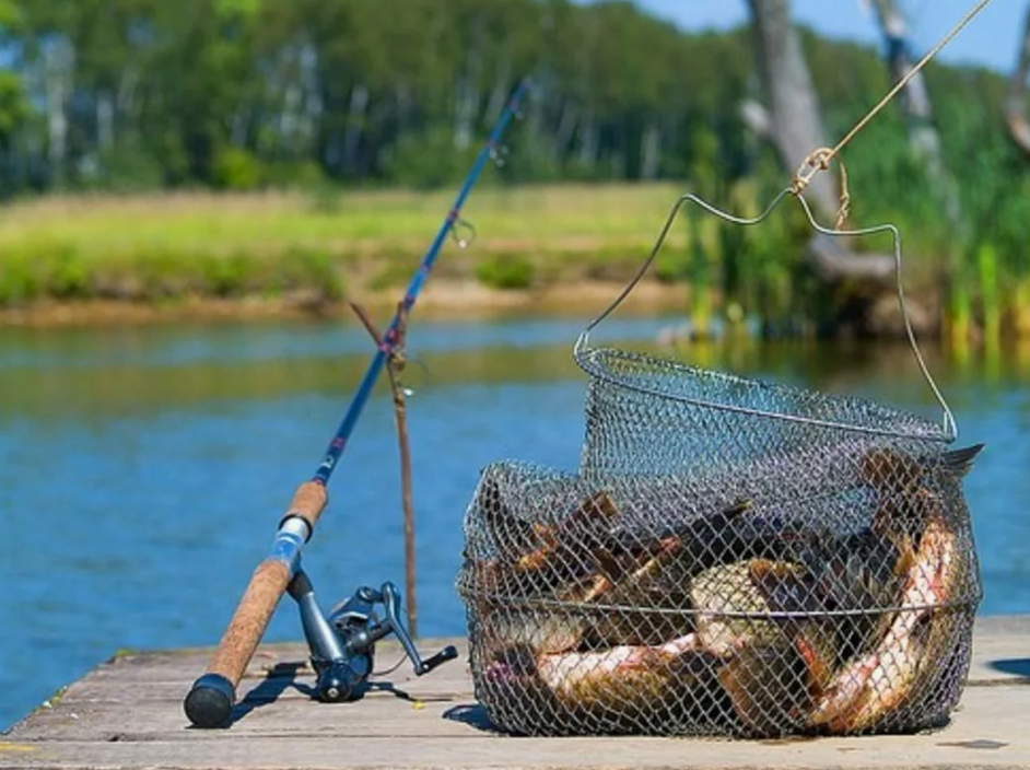 Рыба в садке. Источник фото 101hotels.com