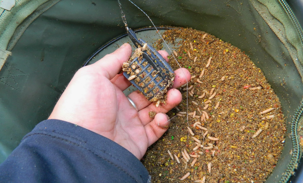 Прикормка для фидерной рыбалки с живым компонентом. Источник фото immunocap.ru