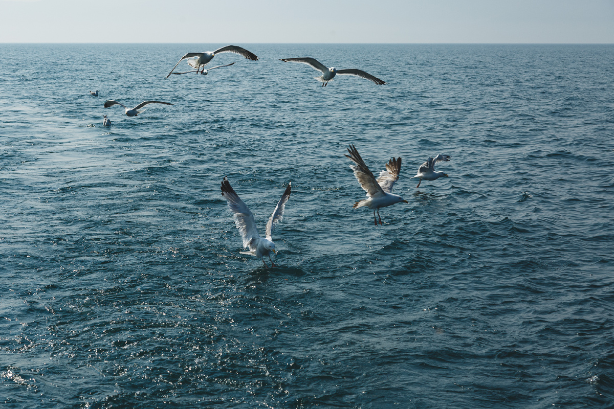 Источник фото: Фонд "Озеро Байкал"