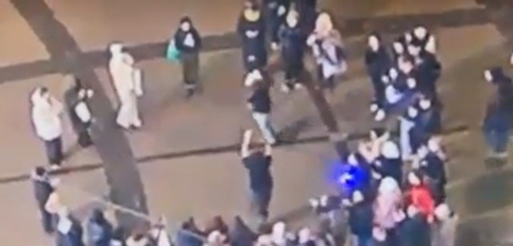    Фото: скриншот видео пресс-службы ГУ МВД России по Петербургу и Ленобласти