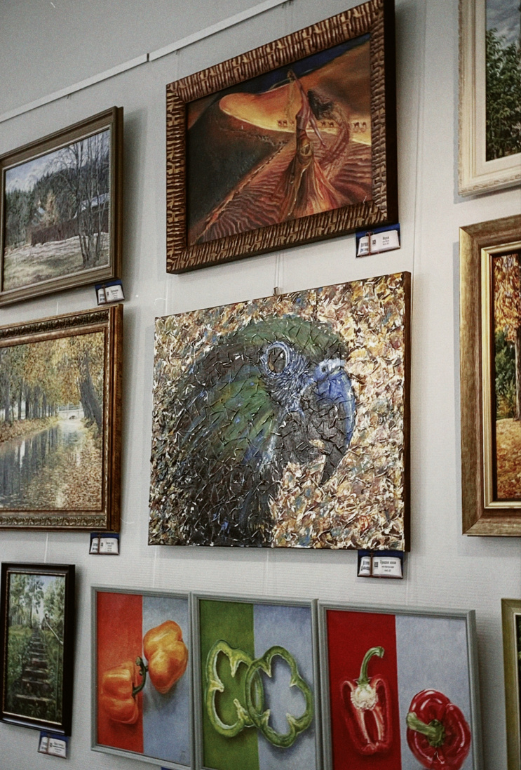 Работы Ксении Давыдовой и Виктории Попушой 