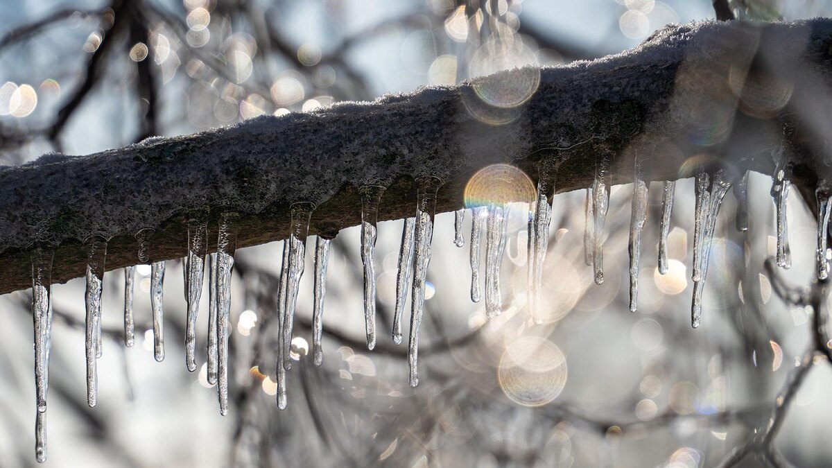 Фото: Frank Rumpenhorst/globallookpress.com