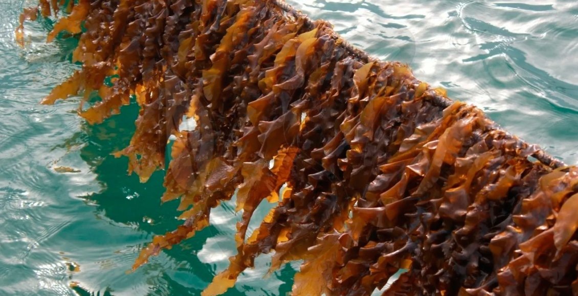    Фото: studarium.ru