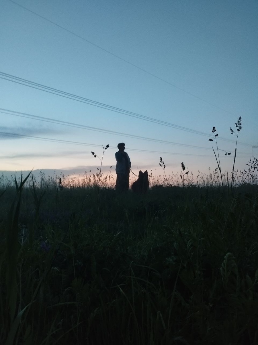 Не люблю гулять совсем в темноте, можно упасть неудачно или провалиться в ямку какую нибудь.