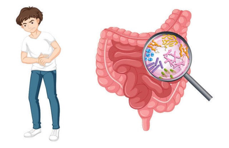 Гастроэнтерит: причины, симптомы и эффективное лечение