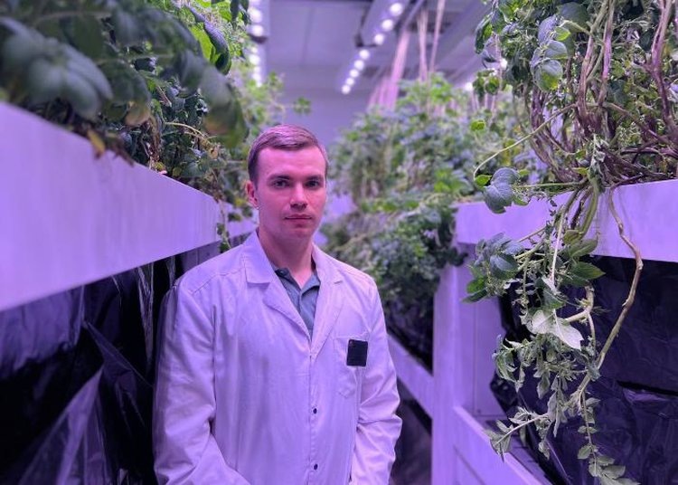    В БГСХА безвирусные растения картофеля хорошо развиваются в аэропонной установке