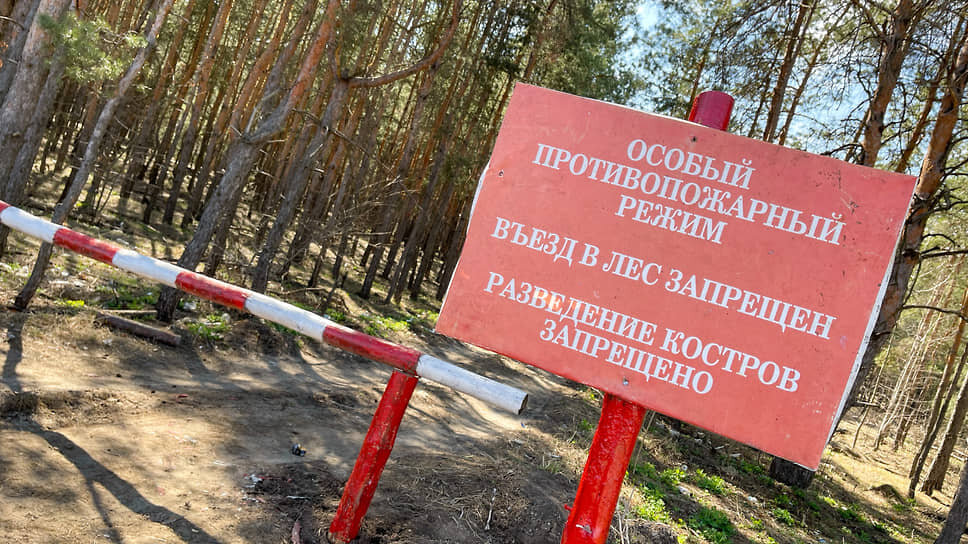 Фото: Олег Харсеев / Коммерсантъ