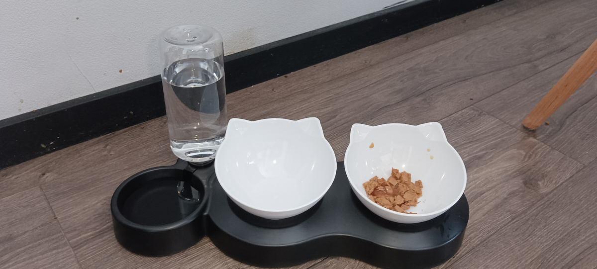 Вот миска, Барсик тут уже поел😄