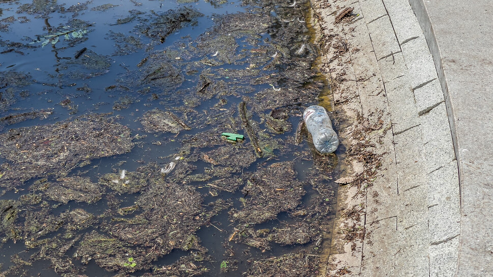 Фото: Олег Харсеев / Коммерсантъ