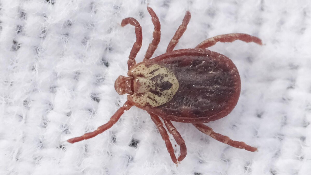 Фото: Sebastian Willnow/globallookpress.com