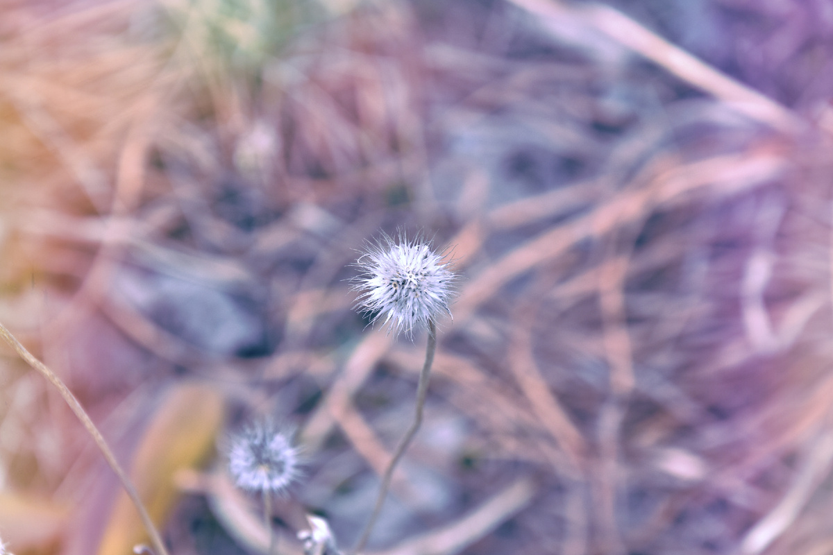 Копирование фотографий запрещено. Контент является интеллектуальной собственностью. Защищён авторским правом.