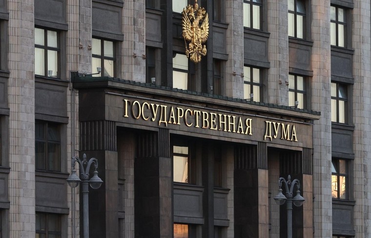    Наталья Шатохина/NEWS.ru