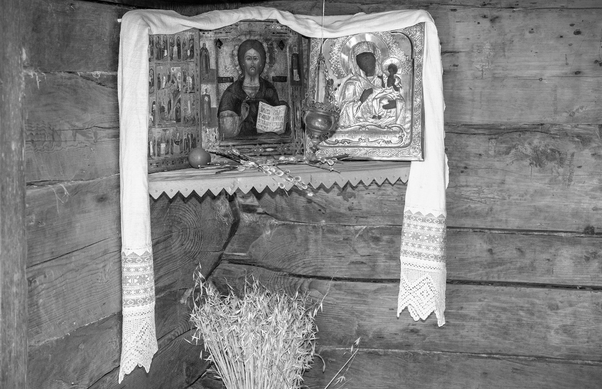 Фото: FotograFFF/Shutterstock/Fotodom