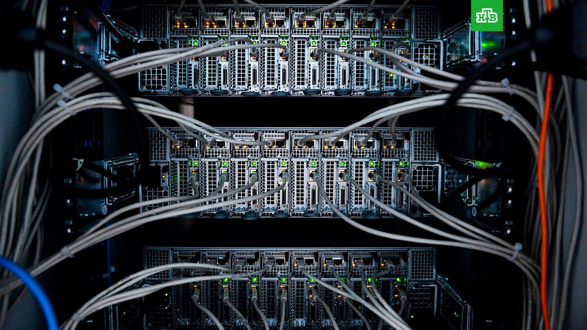    Фото: РИА Новости © 2025, Александр Кряжев