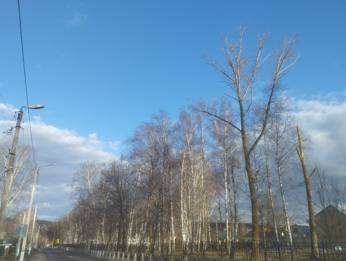 Красивая у нас в посëлке весна!