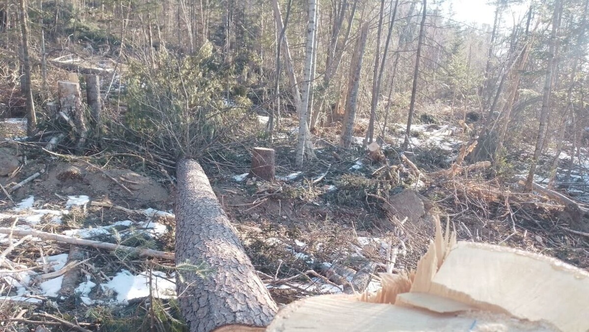     Источник: minles_pk